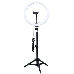 Набір блогера Rtako ZJ-ZBT01 Live Streaming Stand with Ring Light and Floor Tripod (6942063215400)