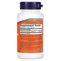Амінокислота Now L-Carnosine 500 mg (50 veg caps) (19414-01)