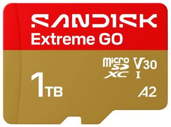 Карта памяті SanDisk Extreme GO SDXC 1TB UHS-I V30 A2 (SDSQXGN-1T00-GN6MN)