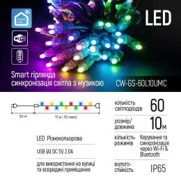 Гірлянда ColorWay CW-GS-60L10UMC світлодіодна, WiFi+Bluetooth, 60 LED, IP65, 10 м