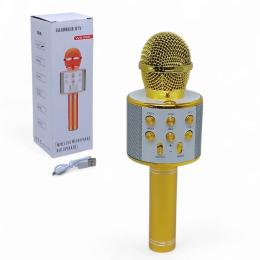Мікрофон Mic Мікрофон (HL-WS858M) (253213)