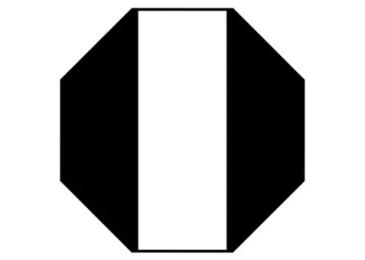 Софтбокс Rime Lite 30х90 см