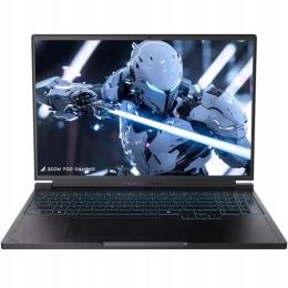 Ноутбук Thunderobot RS16 ID6 (RS16ID6-9850HX32G1T5070) Black