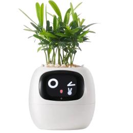 Розумний горщик для рослин Ivy Smart Planter Tuya AI White (ISPTAW)