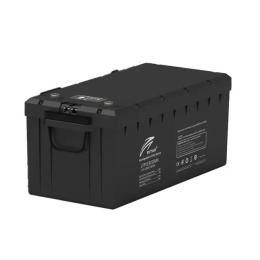 Акумулятор для ДБЖ Ritar LFP12.8V200AH-G3 (BT) Black
