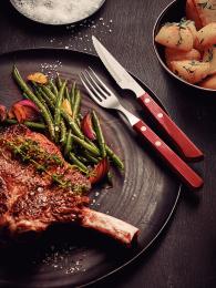 Набір столових приборів TRAMONTINA Barbecue Polywood 12 предметів для гриля (6710921)