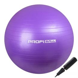 Мяч PROFI M-0276 Violet (фітбол 65 см)