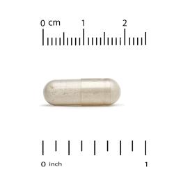 Натуральна добавка і екстракт California Gold Nutrition Serrapeptase 120 000 SPU (180 veg caps) (24646-01)