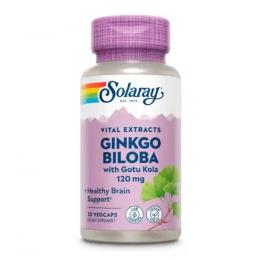 Натуральна добавка і екстракт Solaray Ginkgo Biloba Extract One 120mg - 30 vcaps (2023-10-6737)