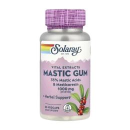 Натуральна добавка і екстракт Solaray Mastic Gum Extract 500mg - 45 vcaps (2023-10-5274)