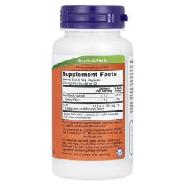 Натуральна добавка і екстракт Now Fo-Ti 560 mg (100 veg caps) (18263-01)
