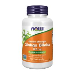 Натуральна добавка і екстракт Now Ginkgo Biloba 120 mg (100 caps) (06702-01)