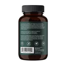 Натуральна добавка і екстракт Mind Shi Reishi Mushroom 1000 mg - 60 vegcaps (2023-10-4389)