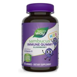 Натуральна добавка і екстракт Natures Way Sambucus Kids Immune Support - 60 gummies (2022-10-1102)