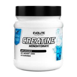Креатин моногідрат Evolite Nutrition Creatine Monohydrate (300 g, unflavoured) (23248-01)