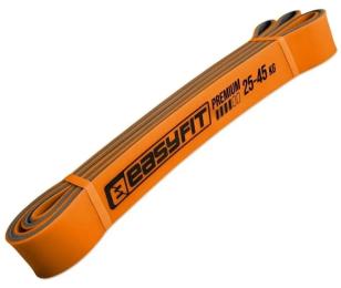 Еспандер EasyFit Premium 25-45 кг (EF-2236-4)