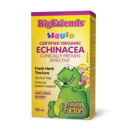 Вітаміни та мінерали Natural Factors BigFriends Echinacea Alcohol-Free Fresh Herb Tincture for Kids - 50 ml (2023-10-6564)