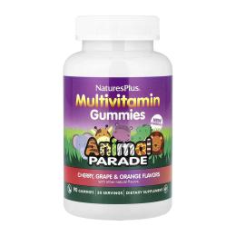 Вітамінно-мінеральний комплекс  Natures Plus Childrens Multivitamin Gummies - 90 Gummies Cherry, Grape &amp; Orange (2024-11-0572)