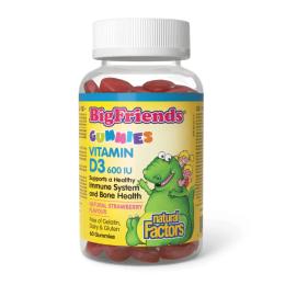 Вітаміни та мінерали Natural Factors BigFriends Vitamin D3 Gummies 600 IU - 60 gummies (2023-10-6550)