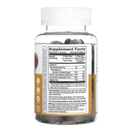 Вітаміни та мінерали Lifeable Iron + Vitamin C Kids - 60 gummies (2023-10-7279)