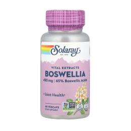 Натуральна добавка і екстракт Solaray Boswellia (60 veg caps) (24568-01)