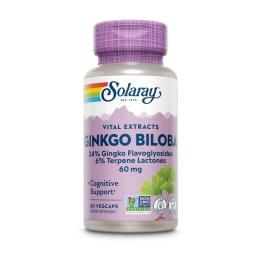 Натуральна добавка і екстракт Solaray Ginkgo Biloba Leaf Extract (60 veg caps) (20479-01)