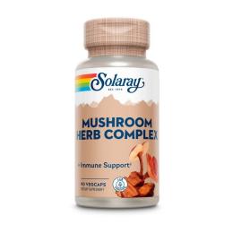 Натуральна добавка і екстракт Solaray Mushroom Herb Complex (90 veg caps) (23648-01)