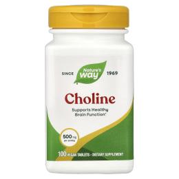 Вітамінно-мінеральний комплекс   Natures Way Choline 500 mg (100 veg caps) (20512-01)