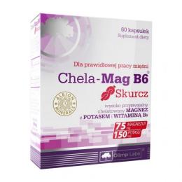 Вітамінно-мінеральний комплекс OLIMP Chela Mag B6 Skurcz (60 caps) (06941-01)