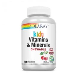 Вітамінно-мінеральний комплекс Solaray Kids Vitamin &amp; Minerals (120 chewables, black cherry) (19385-01)