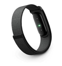 Фітнес-браслет Google Fitbit Air Obsidian (GA09509)