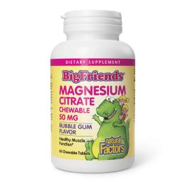 Вітаміни та мінерали Natural Factors Magnesium Citrate 50mg - 60 tabs Bubble Gum (2023-10-3822)