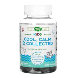 Вітамінно-мінеральний комплекс  Natures Plus Kids Cool, Calm, Collected - 40 gummies (2023-10-4005)