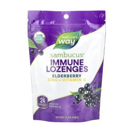 Вітамінно-мінеральний комплекс Natures Plus Sambucus Organic Zinc Lozenges - 24 cnt (2022-10-1092)