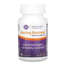 Вітаміни та мінерали Fairhaven Health Milkies Nursing Postnatal Breastfeeding Multivitamin - 60 caps (2023-10-4761)