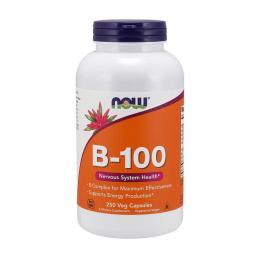 Вітамінно-мінеральний комплекс NOW B-100 (250 veg caps) (09305-01)