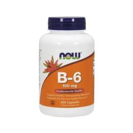Вітамінно-мінеральний комплекс NOW B-6 100 mg (250 caps) (10133-01)