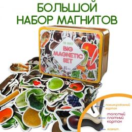 Магнітна гра Magdum ML4031-61 EN Дитячий світ