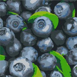 Картина за номерами Ідейка Соковита лохина 25 х 25