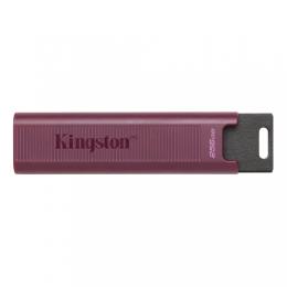 Флеш память Kingston DTMAXA/256GB 256 GB Max USB 3.2 Gen 2