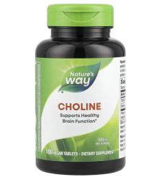 Вітаміни та мінерали Natures Way Choline 500 mg - 100 tabs (2022-10-1077)
