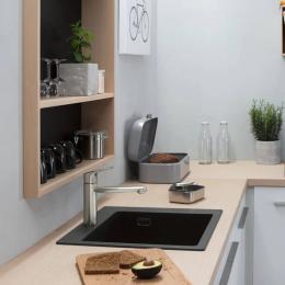 Кухонна мийка Hansgrohe S510-F450 43312170 Black