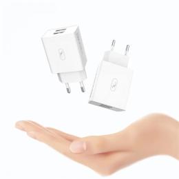 Мережевий зарядний пристрій для телефона SkyDolphin MZP-000112 SC30L (2USB, 2.1 A) + кабель Lightning
