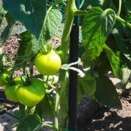 Шпагат Gruntek 295404100 White бавовняний 3 мм х 150 м