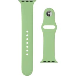 Ремінець для смарт-годинника Infinity SK Matt для Apple Watch 42mm Spearmint