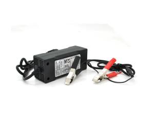 Зарядний пристрій для акумулятора автомобіля Merlion LiFePO4 12V (14, 6V) - 5A-60W