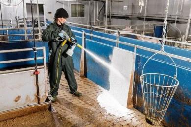 Насадка для мінімийки Karcher 4.112-063.0 Silver пінна