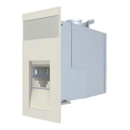 Модуль для патч-панелі MOLEX 50х25 1xRJ45 White прям. STP 5е, 17.1C.011.D0015