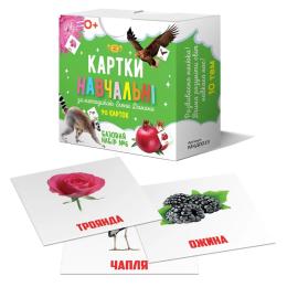 Карткова гра Мастер MKD0013 за методикою Глена Домана №6 (укр)