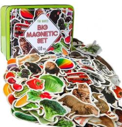 Набір магнітів Magdum ML4031-63 EN Великий подарунковий набір 110 шт